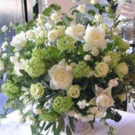 �I�[�_�[���C�h