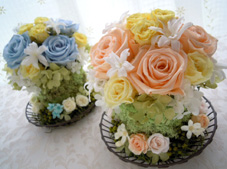 ���e����̂���