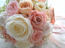 �~�j�u�[�P