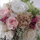 �A�����WL