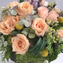 �A�����WL