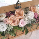 �A�����WL