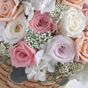 �A�����WL