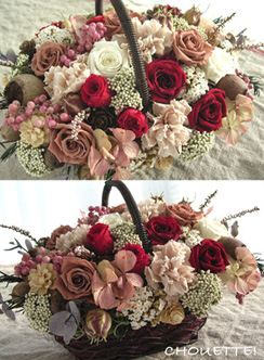 �v���U�[�u�h�t�����[�̂��j���̂���