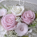 �A�����WM