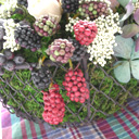 �A�����WM