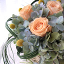 �A�����WM