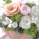 �A�����WM