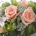 �A�����Ws