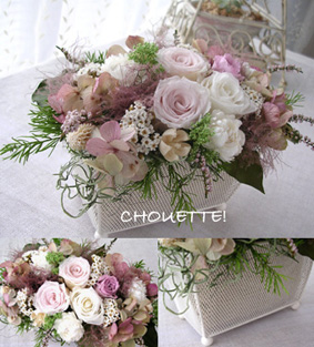 �A�����Ws