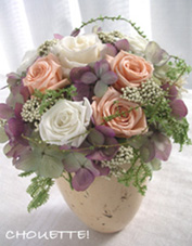 �v���U�[�u�h�t�����[�̂��j���̂���