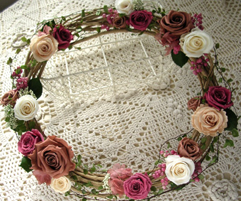 �v���U�[�u�h�t�����[�̐V�z�j��