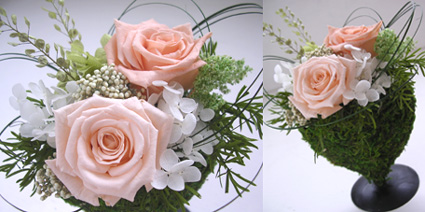 �v���U�[�u�h�t�����[���v�`�M�t�g