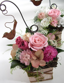 �v���U�[�u�h�t�����[���v�`�M�t�g