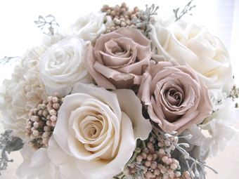 �v���U�[�u�h�t�����[