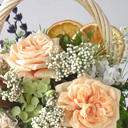 �v���U�[�u�h�t�����[