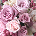 �v���U�[�u�h�t�����[