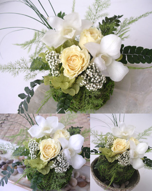 �v���U�[�u�h�t�����[