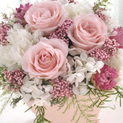 �v���U�[�u�h�t�����[