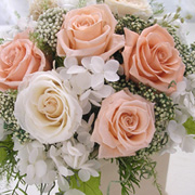 �v���U�[�u�h�t�����[