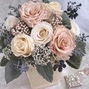 �v���U�[�u�h�t�����[