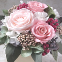 �v���U�[�u�h�t�����[