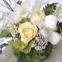 �v���U�[�u�h�t�����[