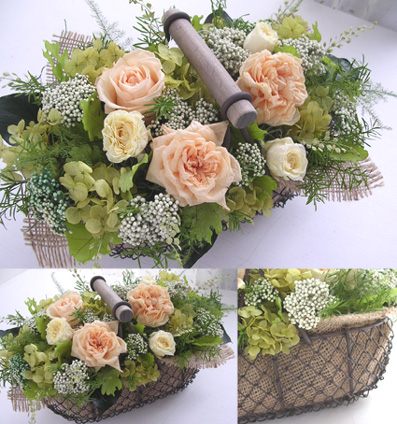 �v���U�[�u�h�t�����[