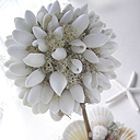 �g�s�A���[