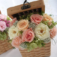 ������I�����e�����