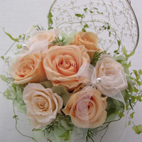 �����O�s���[