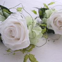 �R�T�[�W��