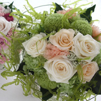 ���e�����