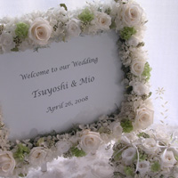 �E�G���J���{�[�h