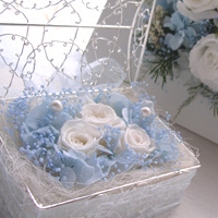 �����O�s���[