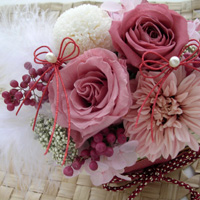 �a�������O�s���[