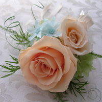 �R�T�[�W��
