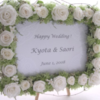 �E�G���J���{�[�h