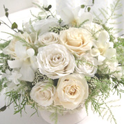 �v���U�[�u�h�t�����[���E�G�f�B���O�M�t�g