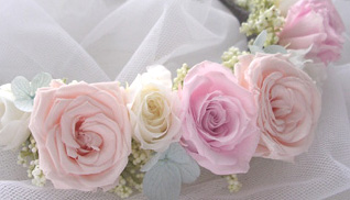 �v���U�[�u�h���Ԋ�