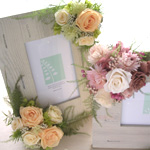 �E�G���J���{�[�h