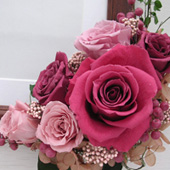 �v���U�[�u�h�t�����[�̃E�F���J���{�[�h(���[�u�s���N)