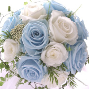 �E�G�f�B���O�u�[�P