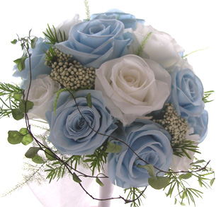 �v���U�[�u�h�t�����[�̃u�[�P