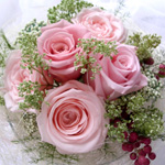 �E�G�f�B���O�u�[�P