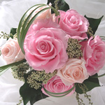 �E�G�f�B���O�u�[�P