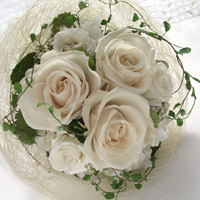 �E�G�f�B���O�u�[�P