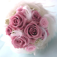 �u�[�P�g�X���v���U�[�u�h�t�����[�u�[�P