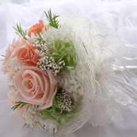 �u�[�P�g�X�~�j�u�[�P