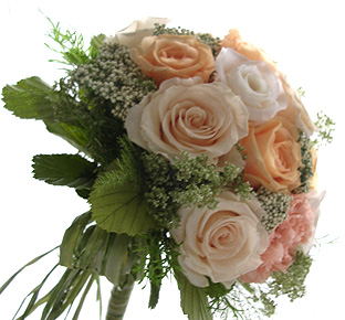 �v���U�[�u�h�t�����[�̃u�[�P